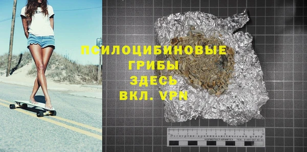 шишки Краснослободск