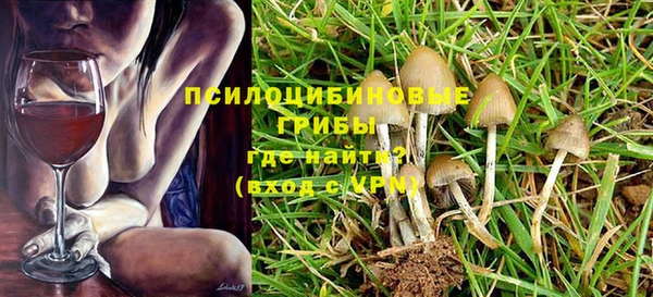 шишки Краснослободск