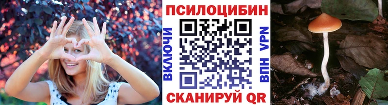 Псилоцибиновые грибы Psilocybe KRAKEN рабочий сайт Вологда где найти