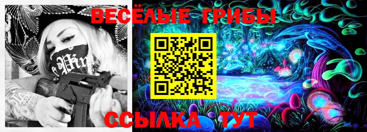 Псилоцибиновые грибы ЛСД  Вход с VPN  Вологда  Псилоцибиновые грибы Psilocybe 